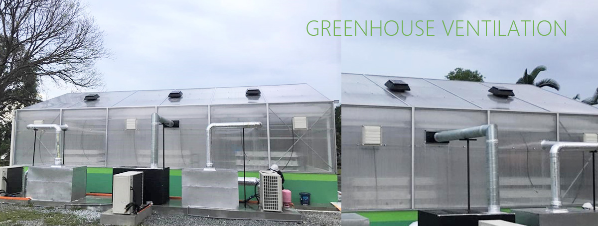 Greenhouse Air Circulation