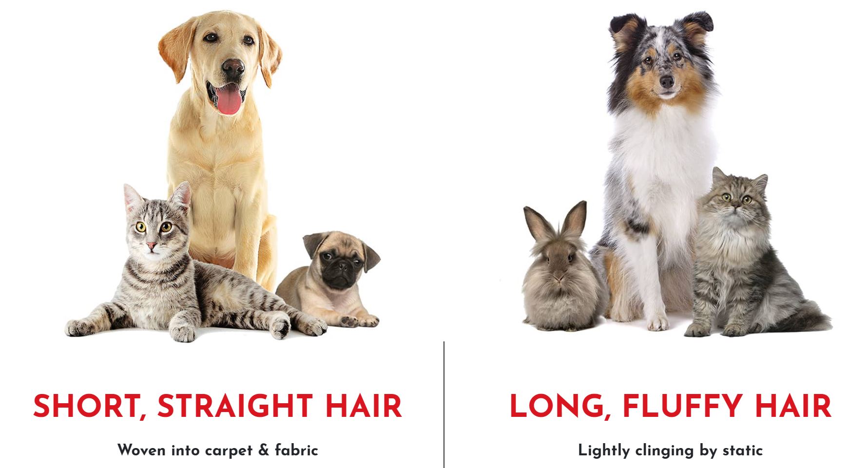 Mighty Pet Hair Detailer