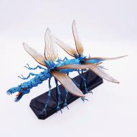 大王蜻蜓-1000X1000